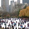Trump Organization Removes Trump Name From Central Park Ice Rinks